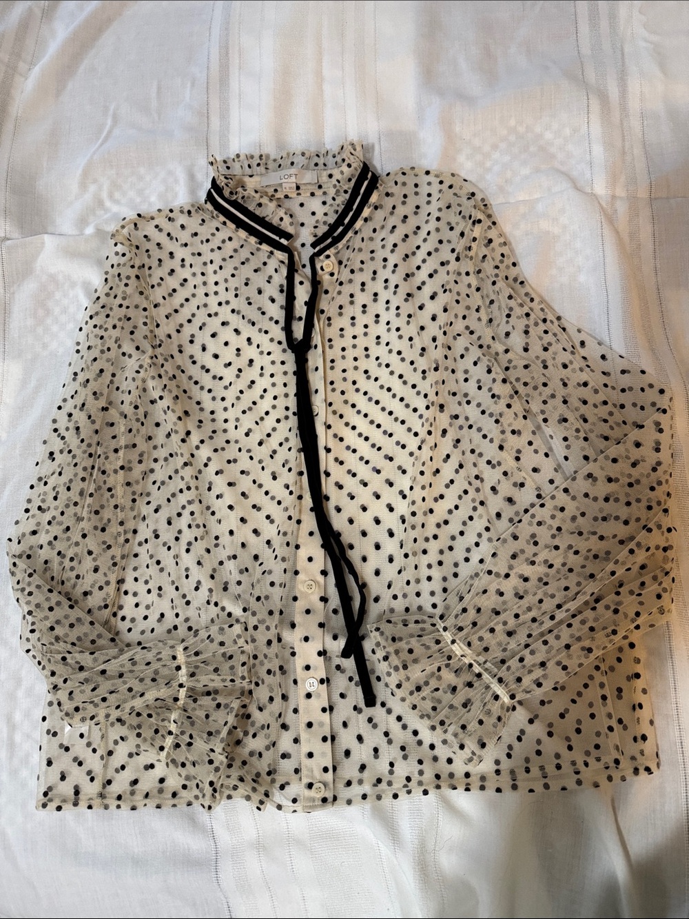 LOFT Cream Sheer Polka Dot Button-Up Blouse with Black Trim